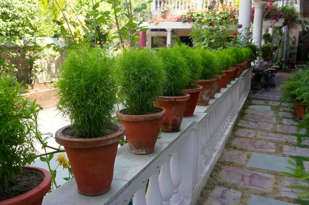 Sirohi House New Delhi Buitenkant foto