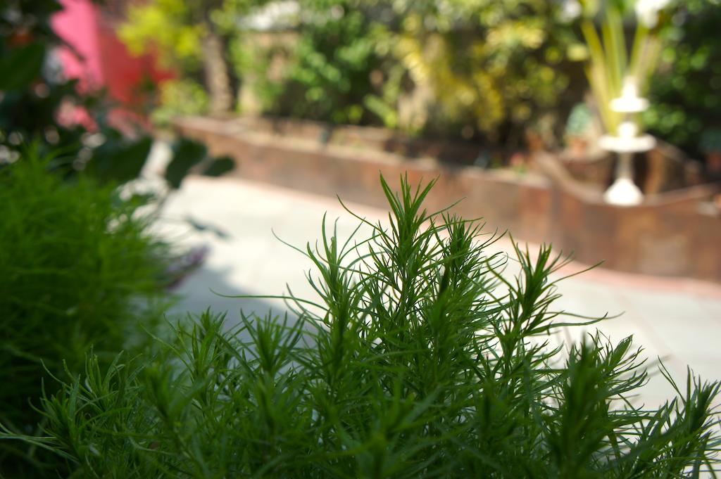 Sirohi House New Delhi Buitenkant foto